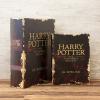 BOOK BOX ブックボックス (本型箱)2個セット【単品販売可】 (LL・Mサイズ)／HARRY POTTER