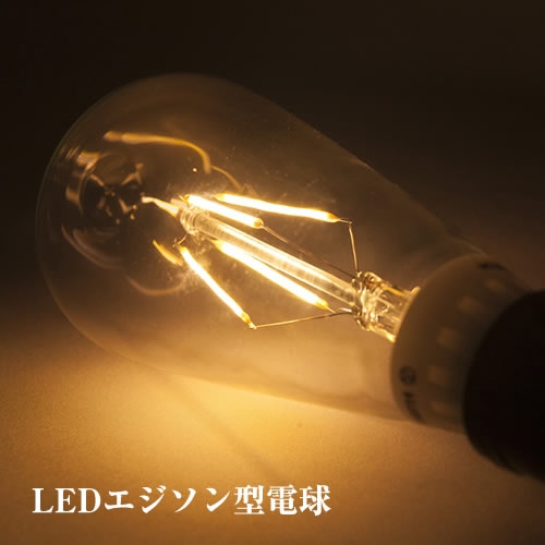 ※※単品購入不可※※ LEDエジソン型電球