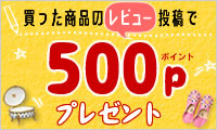 レビューを書いて500Pをゲット!